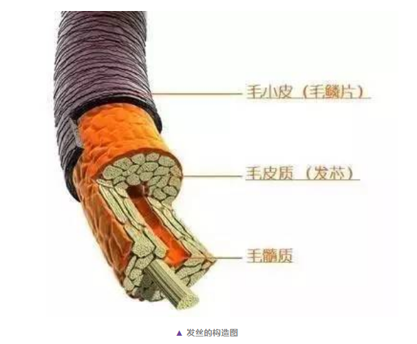 玉林市硅油：我不是魔鬼 | 冤枉錢終點站